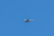IAF Hits Drone Array and Assets in Western Iran
