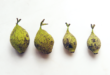 Nocino: How to Use a Native New Mexican Walnut
