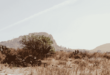 New Mexico Doesn’t Have to Remain in Ruin