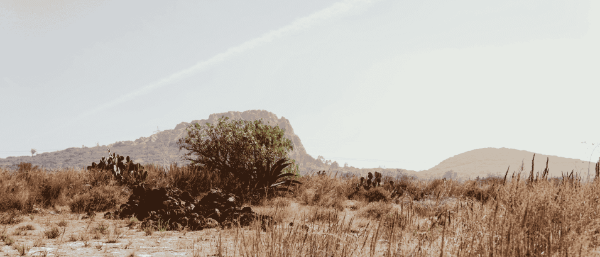 New Mexico Doesn’t Have to Remain in Ruin