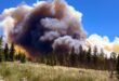 Caring for the land after the fire