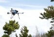 From air to algorithm: How drones are training AI models for forest recovery