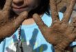 Summer & Fall Family Days at HSFF’s El Zaguán