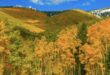 2026 Fall Real Estate Outlook