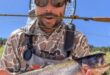 NM Fishing and Stocking Report