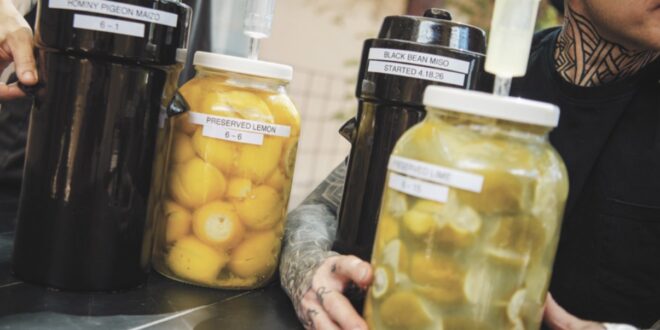 Fermentation Notes